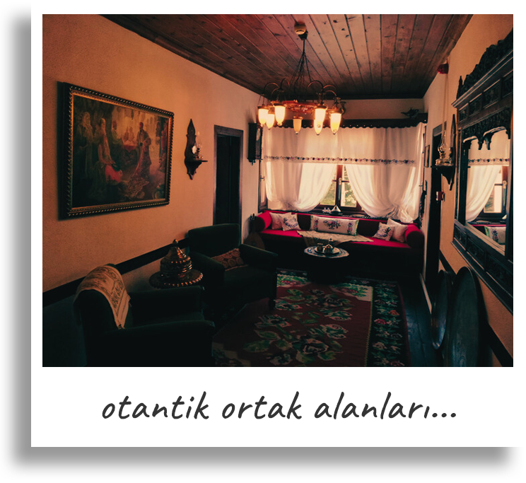 ortak alan